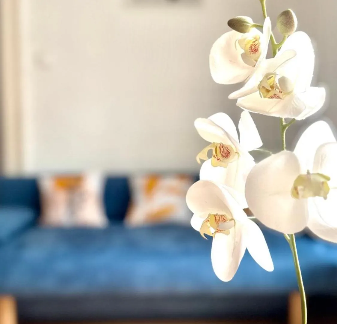 Top Central Rhapsody Residence - 4 Rooms - Steps From Major Attractions 布达佩斯
